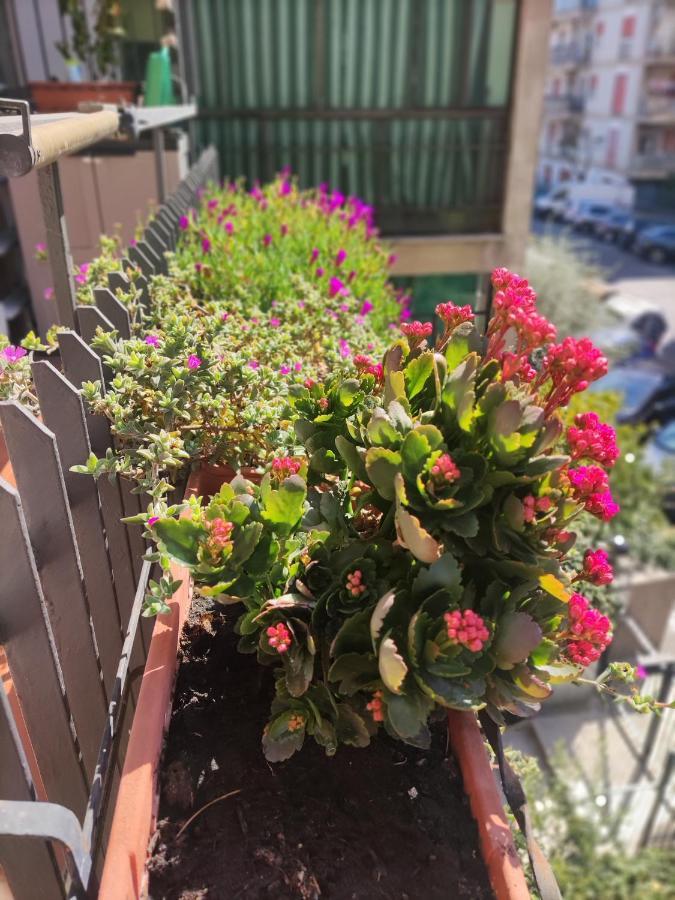 דירות רומא La Casa Dei Nonni מראה חיצוני תמונה